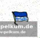 Kontinuität seit 1985: berlin als pokal-final-standort