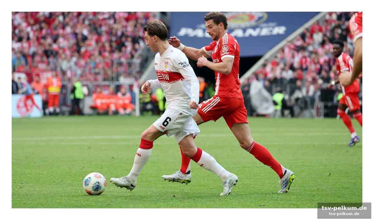 Die stuttgarter kämpfen sich ins finale