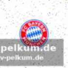 Gespräche mit mvg und behörden
