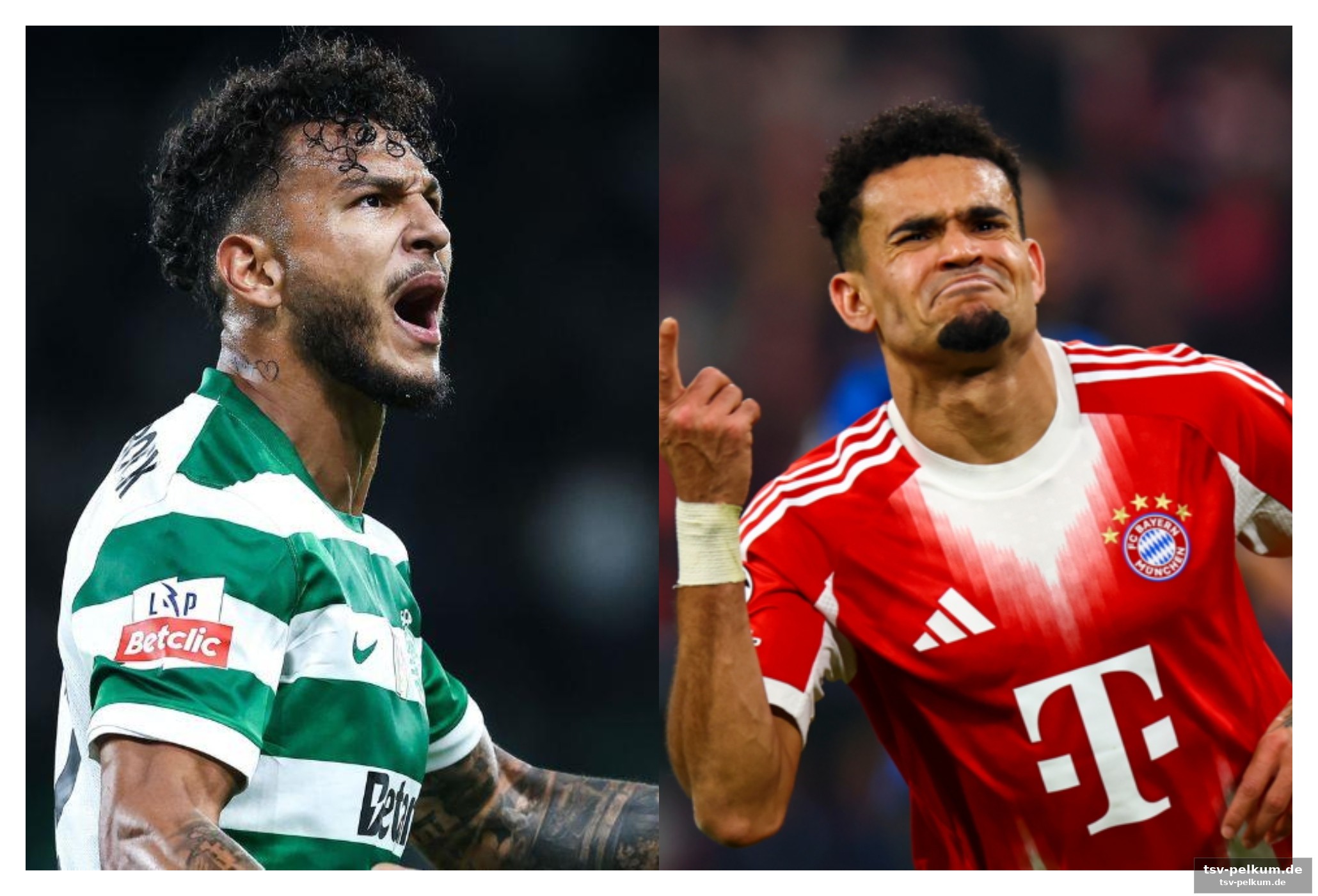 Panichelli und joão pedro signalisieren generationswechsel