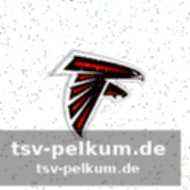 Weitere teams und ihre besitzer