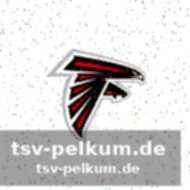 Weitere nfl-besitzer im überblick