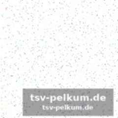 Von laimbeer bis green: eine genealogie der härte
