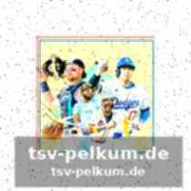 Weitere bemerkenswerte spieler