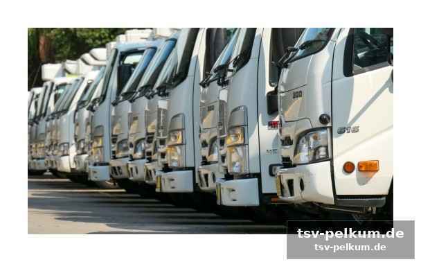 Die zukunft des italienischen güterverkehrs