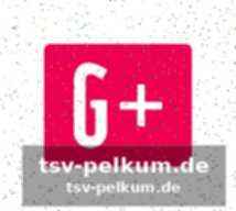 Das geheimnis sitzt zwischen den ohren