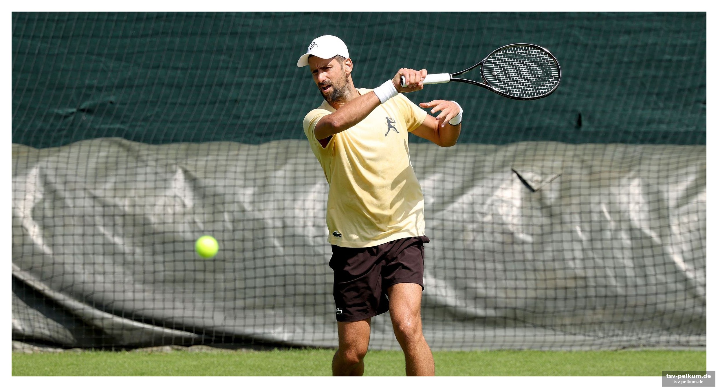 Die auslosung entscheidet über djokovics chancen