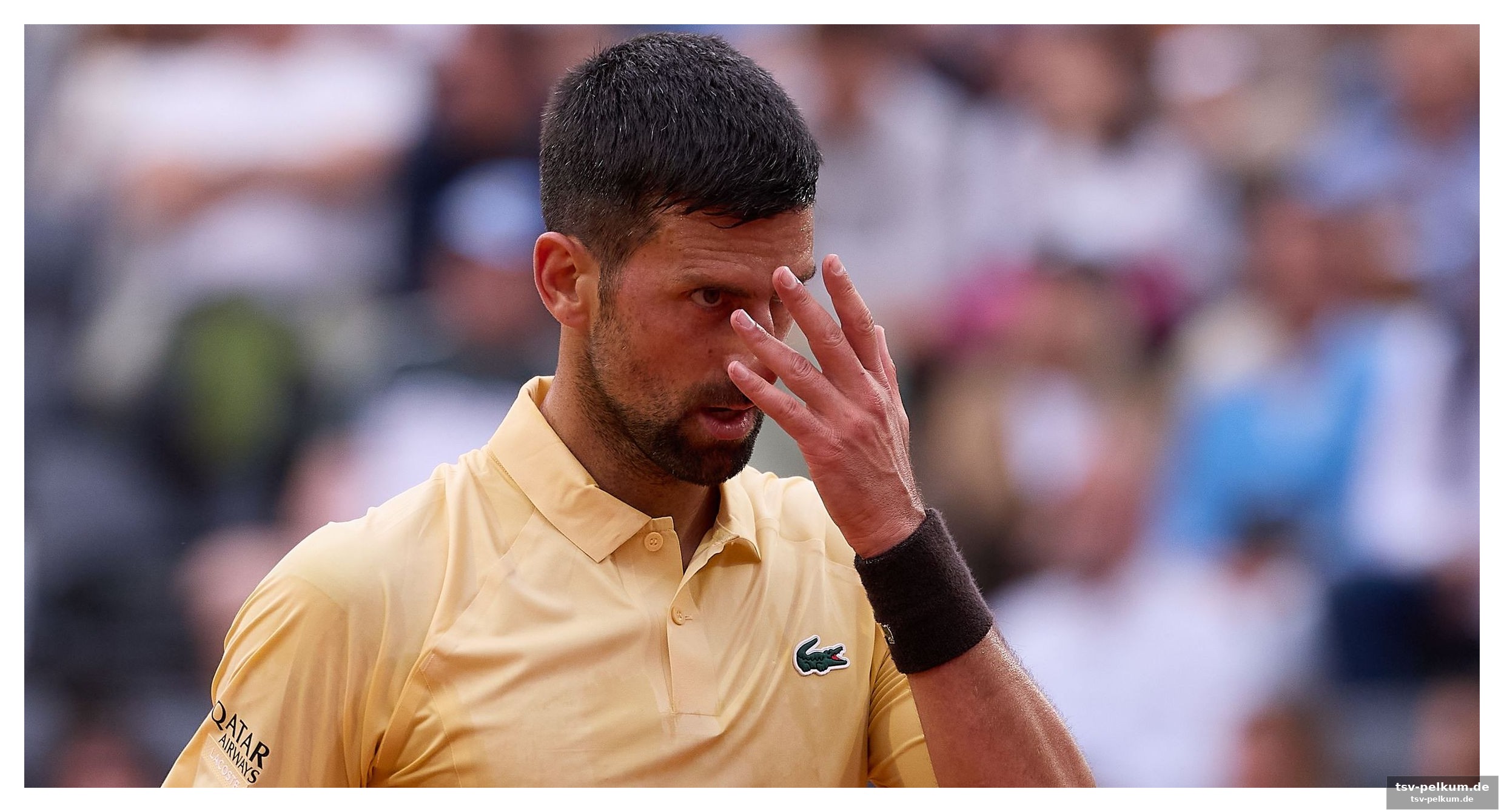 Becker, wilander und corretja: einschätzungen zum djokovic-formzustand