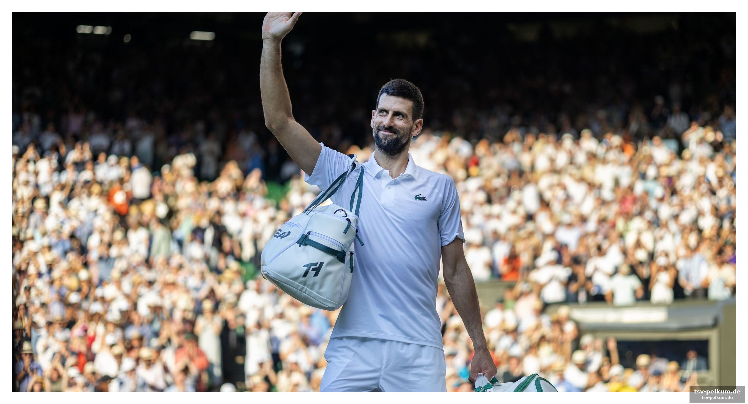 Verletzungspech der konkurrenz eröffnet djokovic neue möglichkeiten