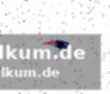 Ein traum wird wahr