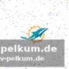 Erfahrungsschatz aus verschiedenen nfl-teams