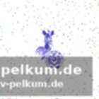 „Chance bei einem traditionsverein“