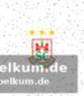 Sprachliche integration und die entscheidung für magdeburg