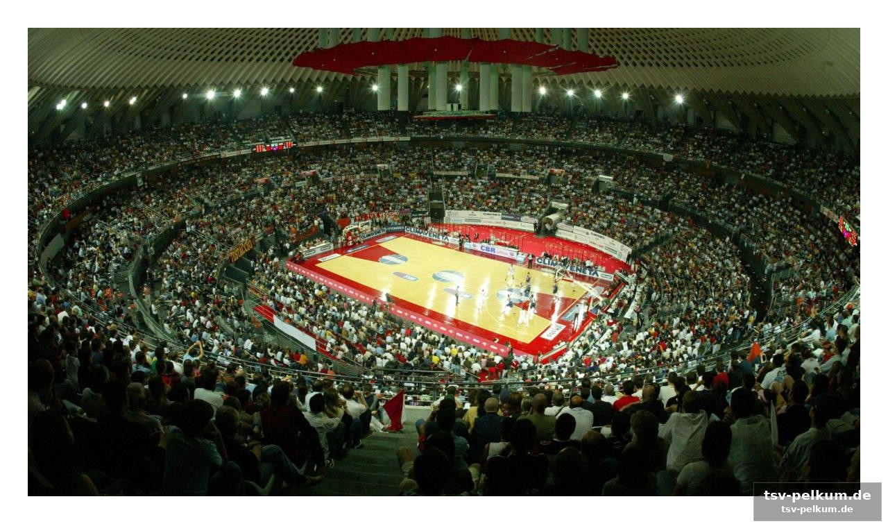Das palazzetto dello sport – ein kampf um die heimspielhalle