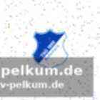Spielbericht: 1. fc köln – tsg hoffenheim 2:2