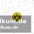 Personalprobleme beim bvb