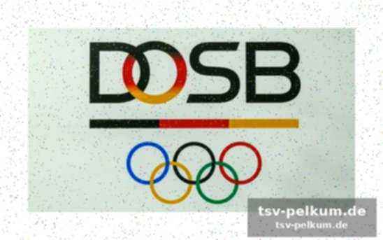 Dosb betont die rolle der medien