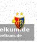 Reaktionen und ausblick