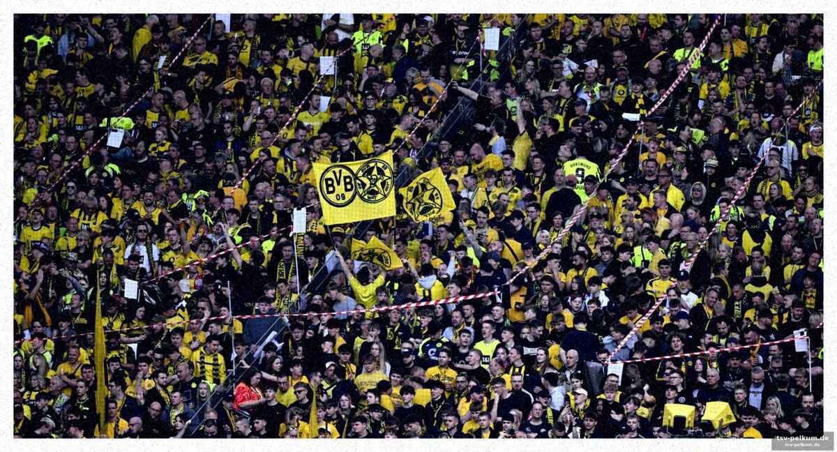 Stille im stadion: der support verstummt