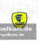 Frustration bei den löwen