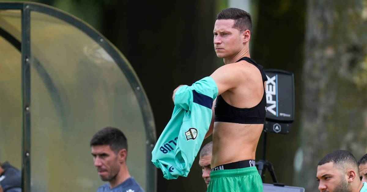 Draxler: katar-exil, haarwuchs-business und bundesliga-lieblinge
