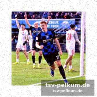 Stimmen zum spiel