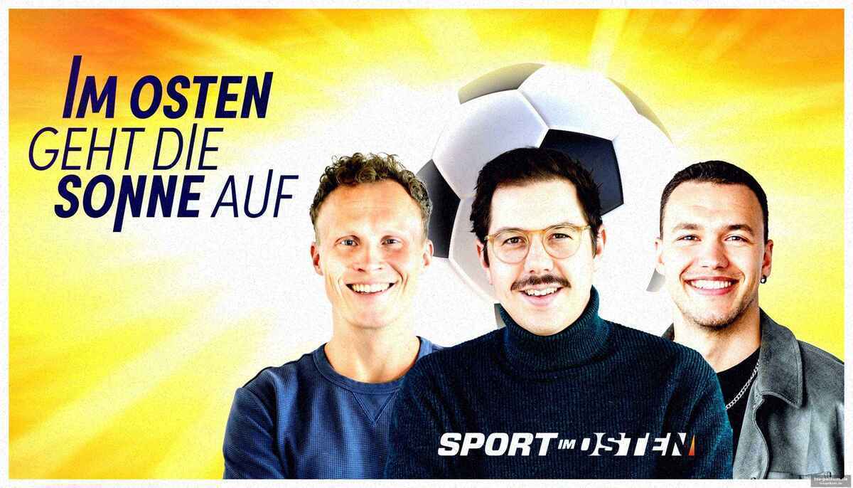 Aue treibt den trainer vor sich her – und die wurst in halle wird legendär