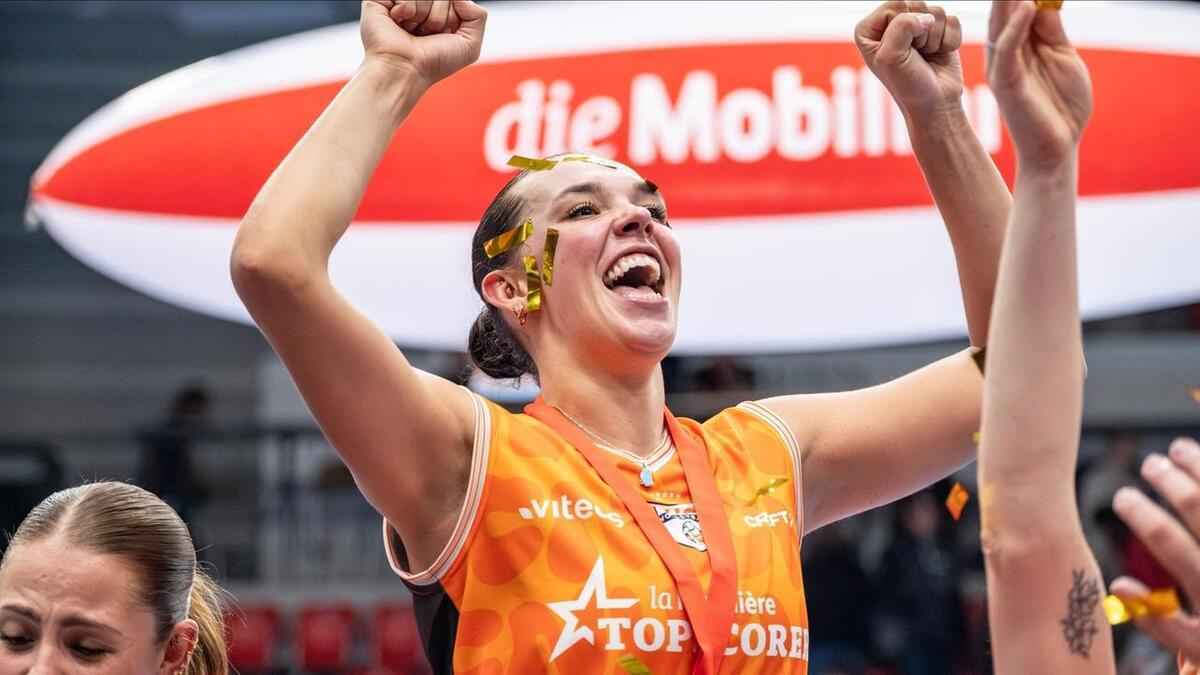 Dresden holt us-star: dvoracek verstärkt volleyball-angriff!
