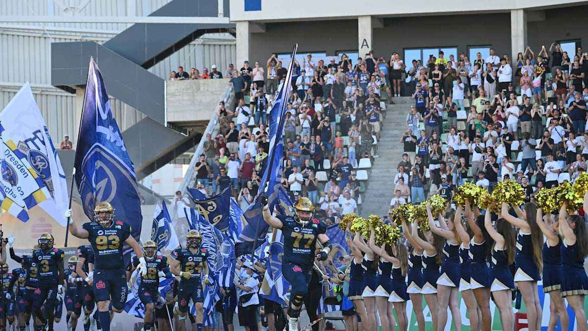 Dresden pflanzt sich neue nfl-dna: montigo moss verpflichtet