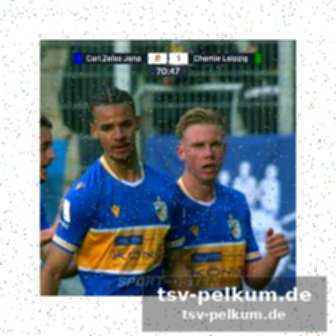 Ergebnisse und tabelle