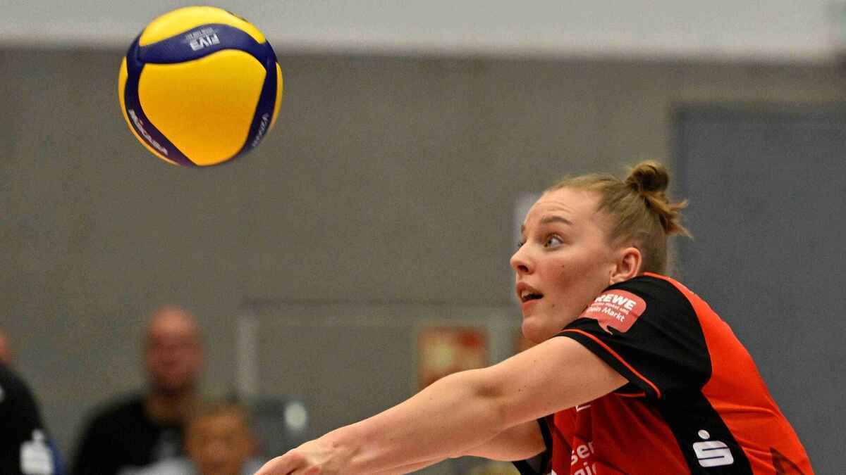 Dresden souverän, erfurt kämpft – volleyball-bundesliga mit klaren ergebnissen