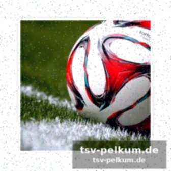 Statistik im überblick