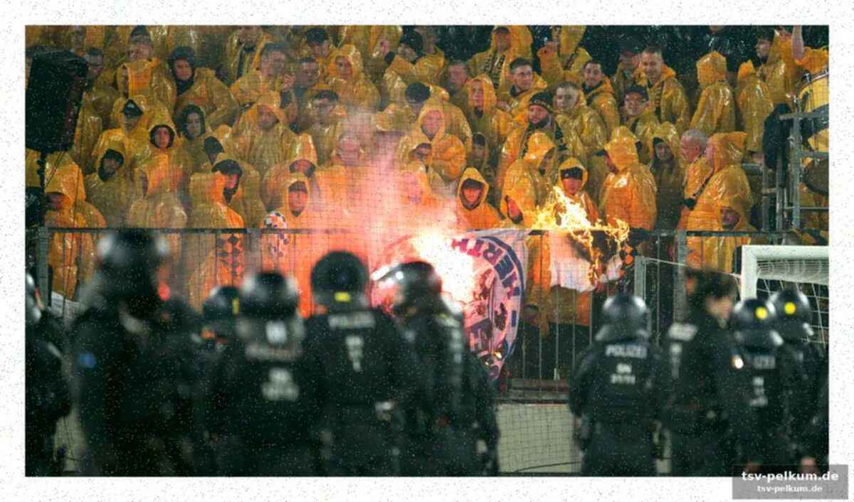 Die fans als symptom einer tieferliegenden krankheit