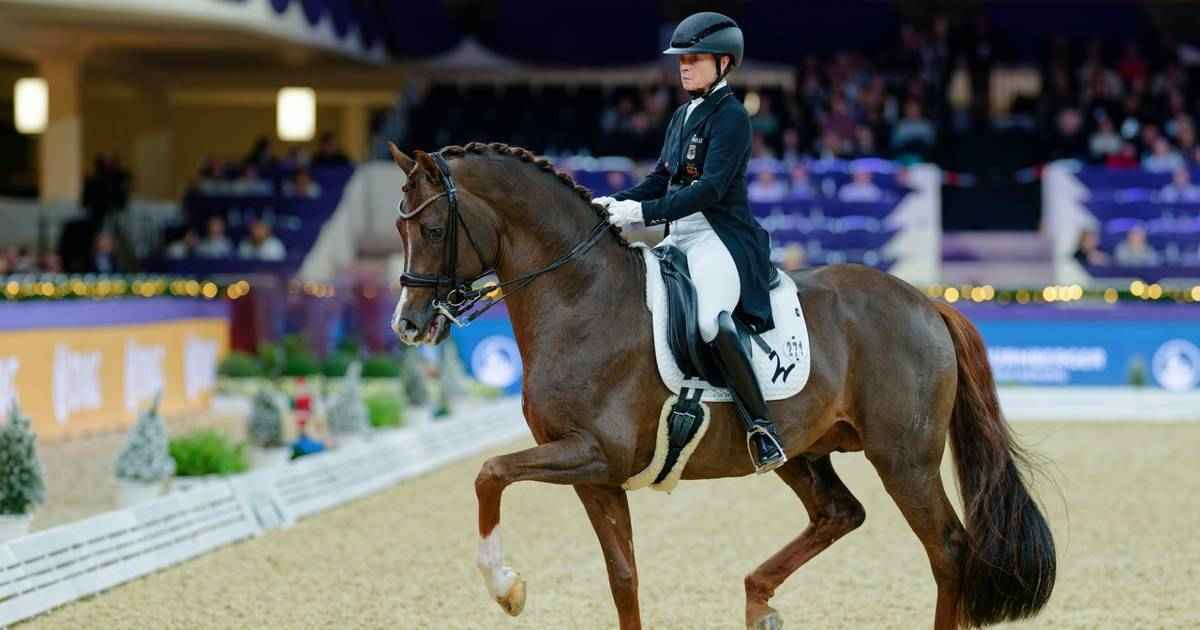 Dressur-legende werth triumphiert in hamburg!