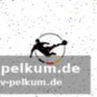 Tsv 1860 münchens neuer spielplan