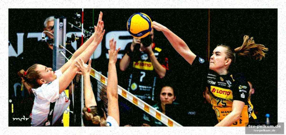 Hartmann: "fast perfekter volleyball"