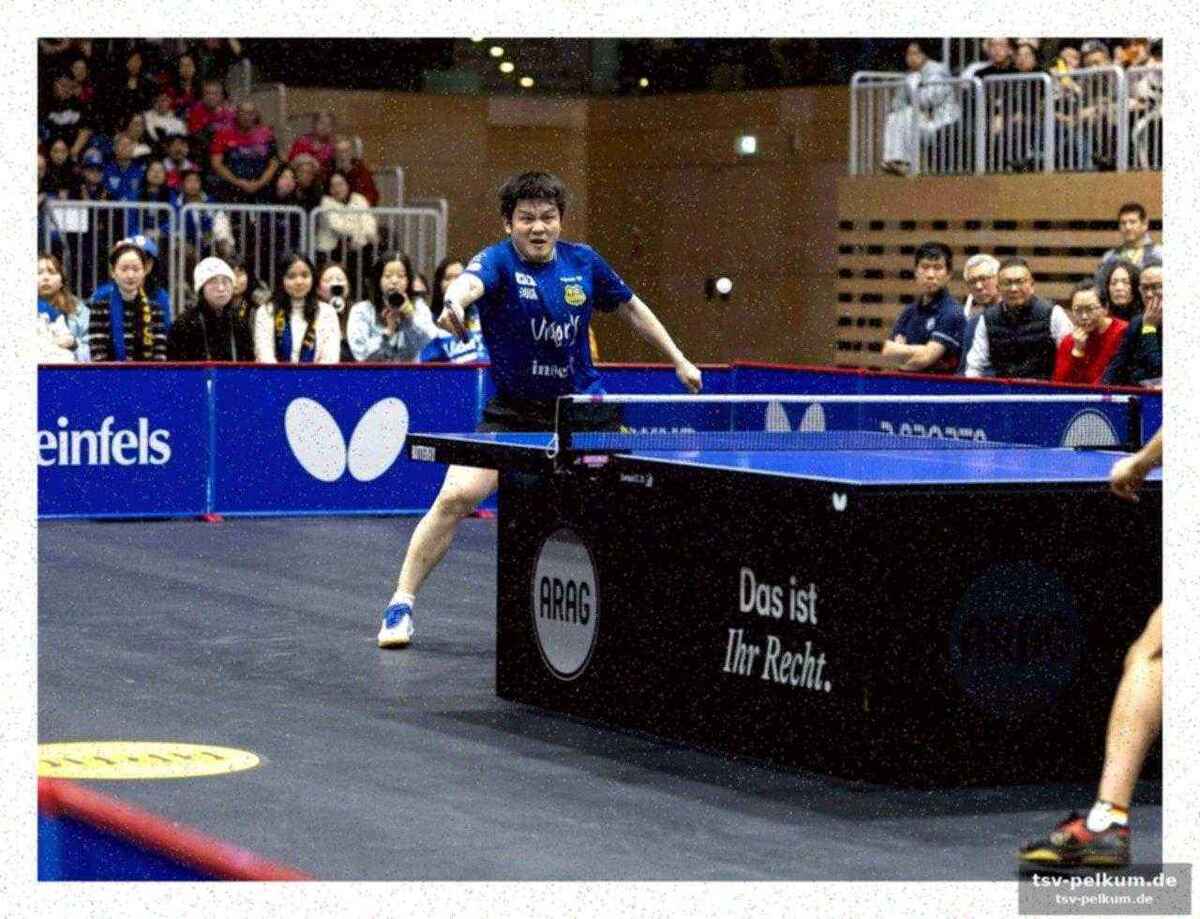 Fan zhendong führt saarbrücken anfangs