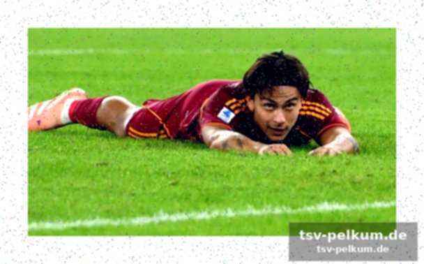 Was roma jetzt macht – und was nicht