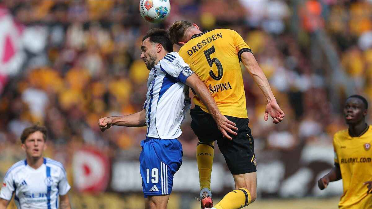 Dynamo dresden reist nach schalke: stamm sieht gute vorbereitung