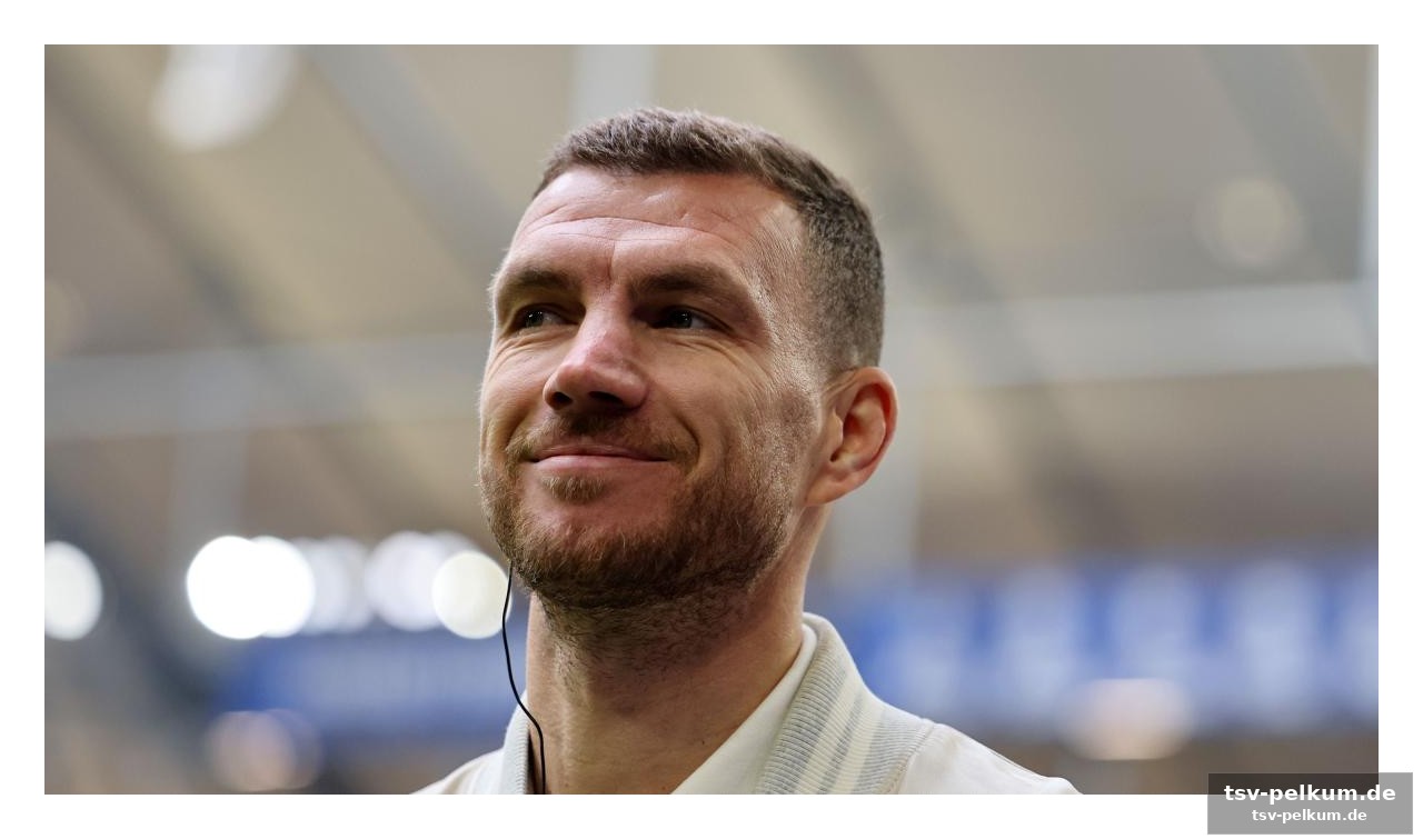 Die last der erwartungen: dzekos blick auf die italienische nationalmannschaft