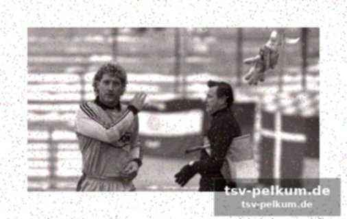 Schalke als attraktive alternative