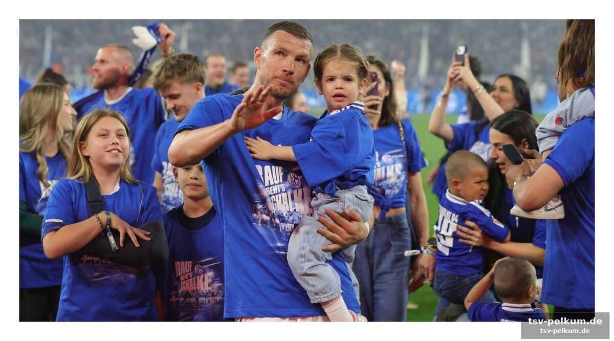 Die frage aller fragen: verlängert dzeko?