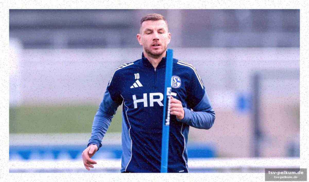 Was schalke ohne dzeko verliert