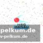 Der handball als schicksal
