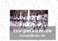 Tesla und der fokus auf robotik