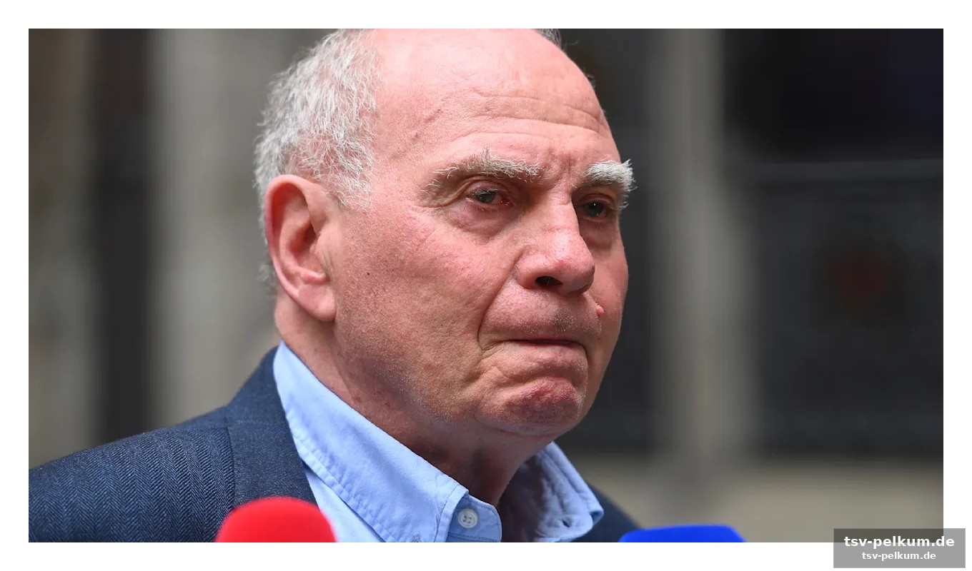 Die knappe einschätzung hoeneß