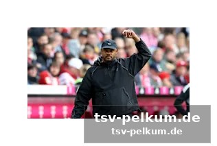 Goretzka und guerreiro: abschied in münchen