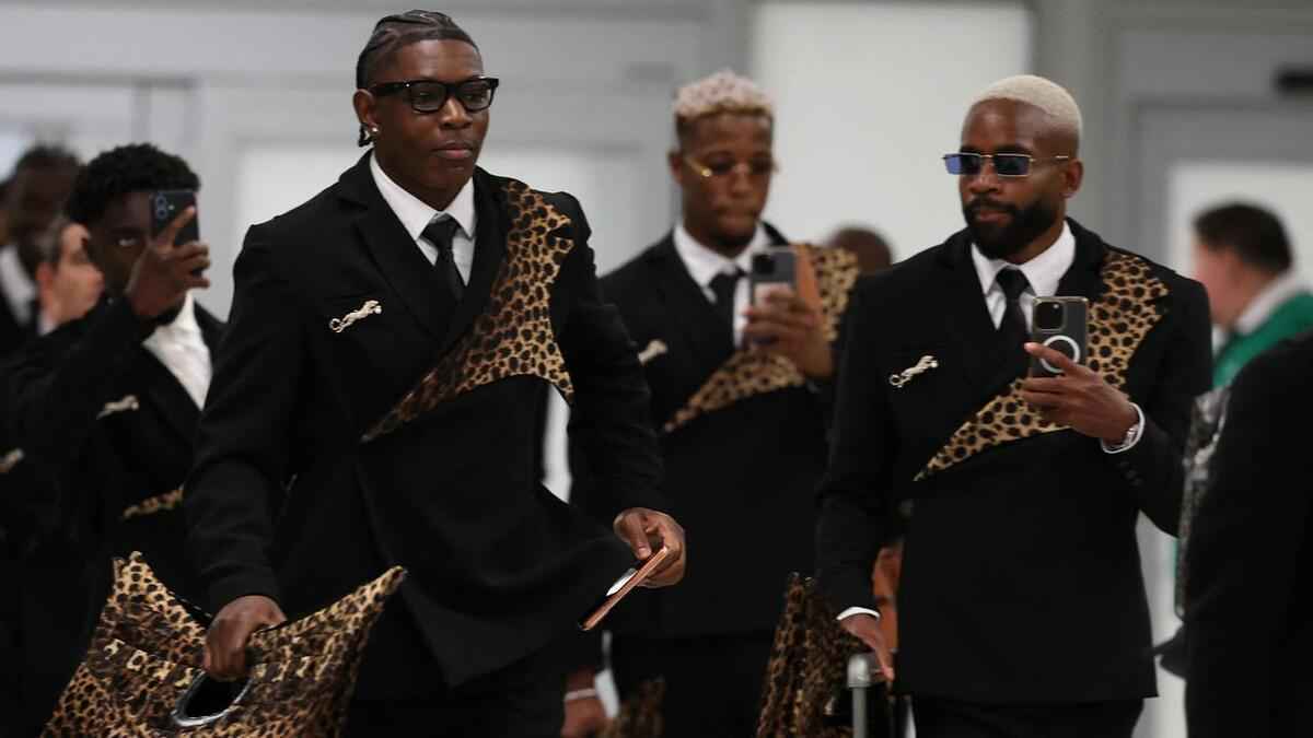 Ebola-alarm beendet: kongos leoparden landen in houston