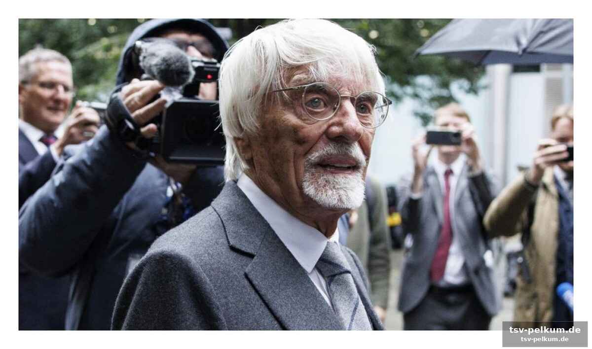 Ein appell an die fia und eine verteidigung ben sulayems