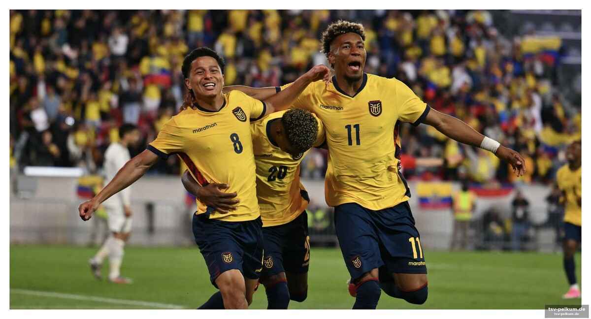Nagelsmann muss sich auf starke ecuadorianer einstellen
